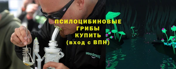 амф Алексин