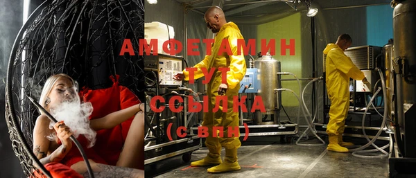 гашик Алексеевка