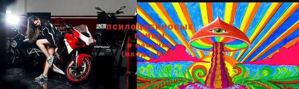 трава Переславль-Залесский