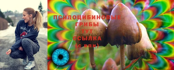 герыч Абинск